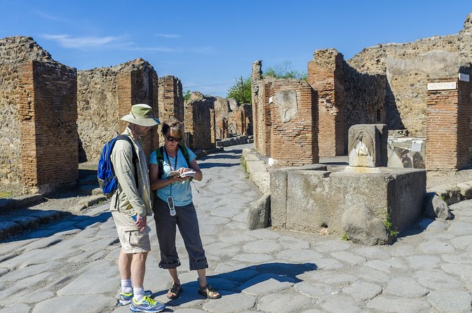 Pompeii 2-hour Private Tour with an Archaeologist-Ticket included - Who this Pompeii private tour is best for