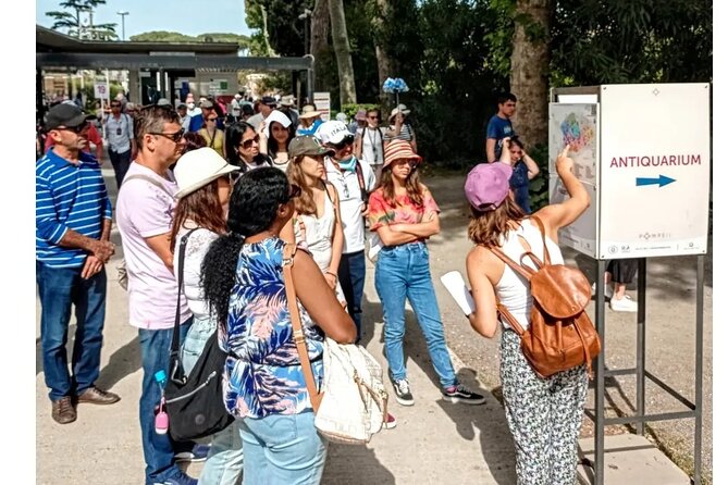 Pompeii 2 hours Private guided tour, A JOURNEY THROUGH THE TIME - Price and Value: When a Private Tour Makes Sense