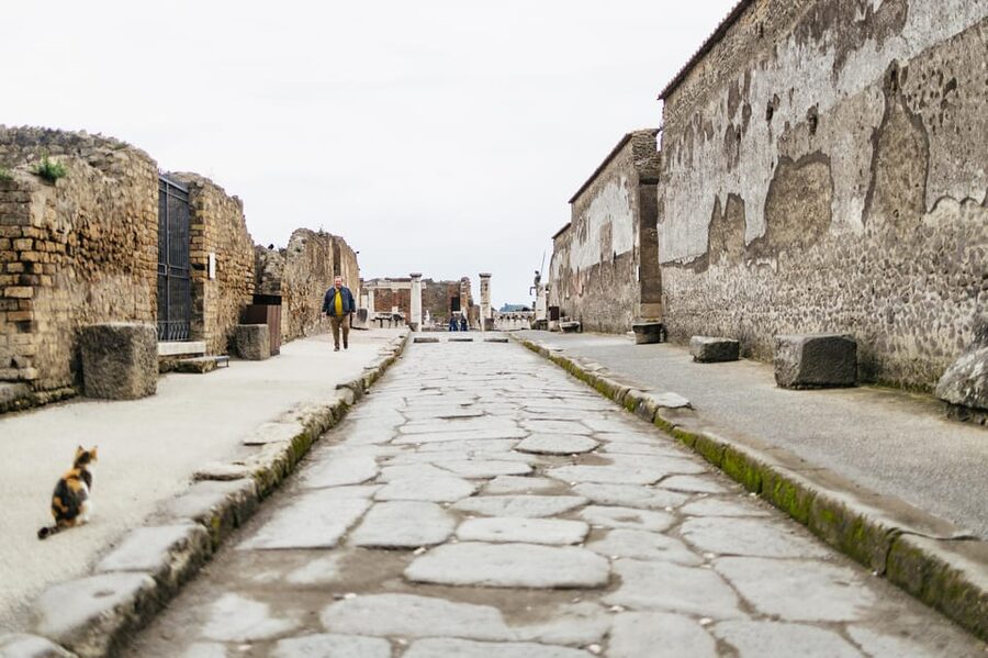 Pompeii: Afternoon to Sunset Guided Tour with Ticket - Vesuvius and 79 AD: The Eruption Story With Human Scale
