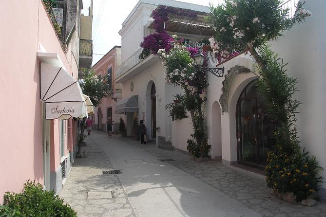 Pompeii and Amalfi Coast Port Tour (Driver Only/Self Touring) - Who this tour suits best, and who should rethink it
