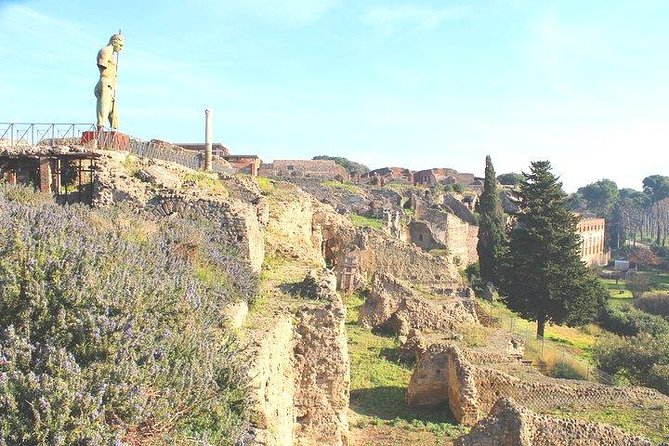 Pompeii and Herculaneum Private Tour with Native Guide and Skip the Line Tickets - Should You Book This Pompeii and Herculaneum Private Tour?