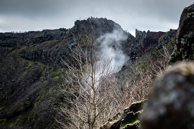 Pompeii and Vesuvius Small Group Tour from Sorrento with Pizza - Key highlights worth your attention