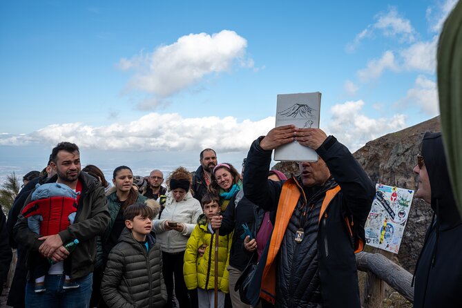Pompeii and Vesuvius Small Group Tour from Sorrento with Pizza - Price and value: is $138.78 a smart deal?
