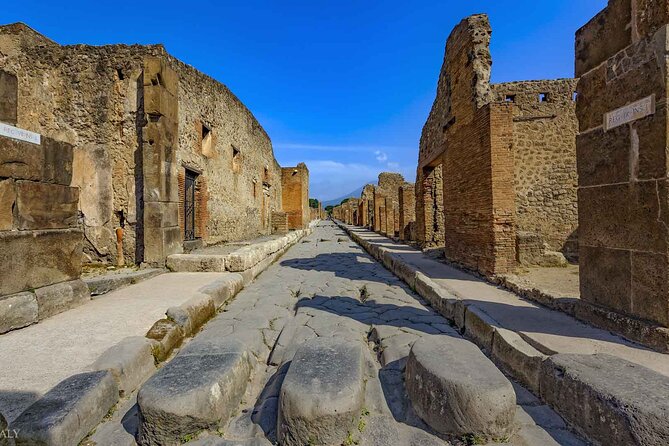 Pompeii Archaeological Area Entrance Ticket - Lupanare and the Shock of Frescoes, Victim Casts, and Ash-Buried Life