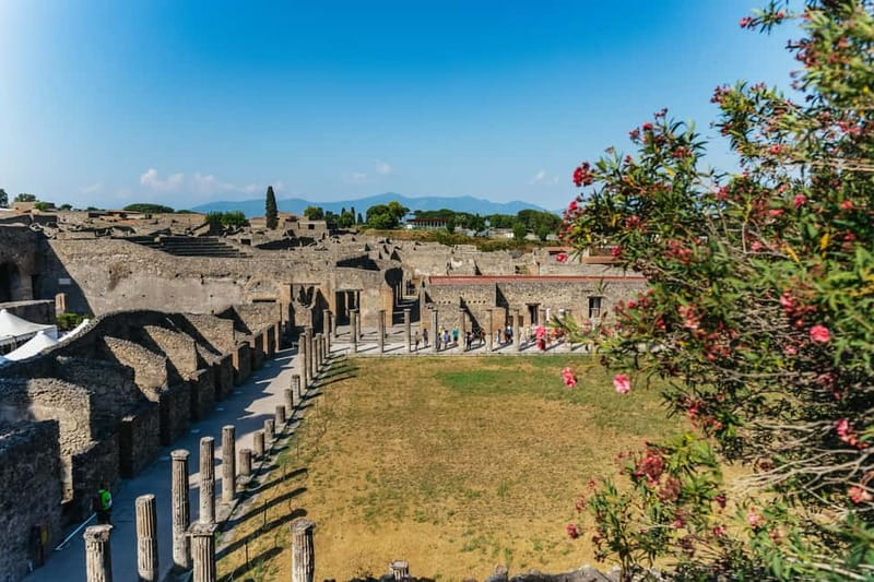 Pompeii: Archaeological Park Tour with Ticket on request - Skip the Line, Then Walk Like a Roman Has Time