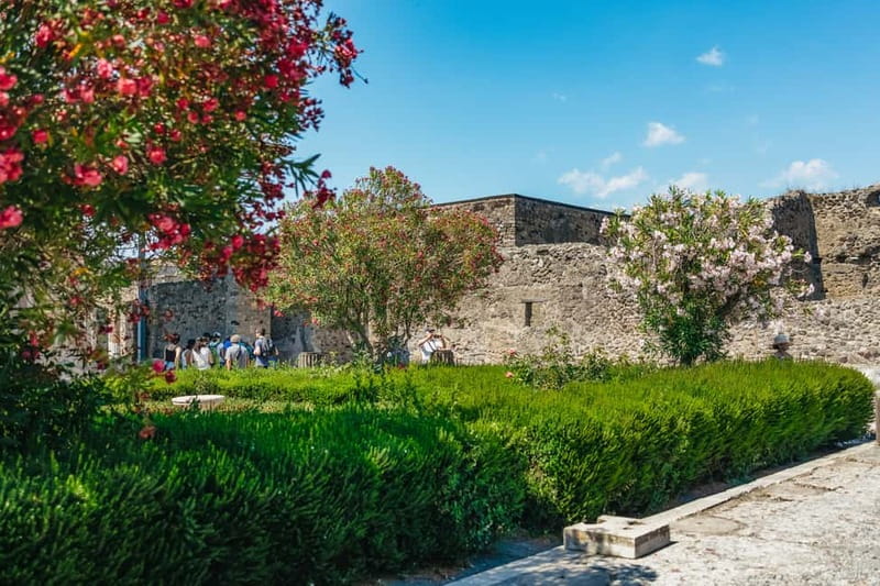 Pompeii: Archaeological Park Tour with Ticket on request - Pompeii in 2 Hours: What the Walk Covers (and What It Does Not)