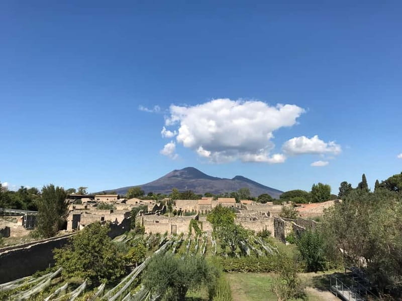 Pompeii: Archeological Tour & Wine Tasting at Mt. Vesuvius - Avoiding the Worst Moments With a Pro Guide