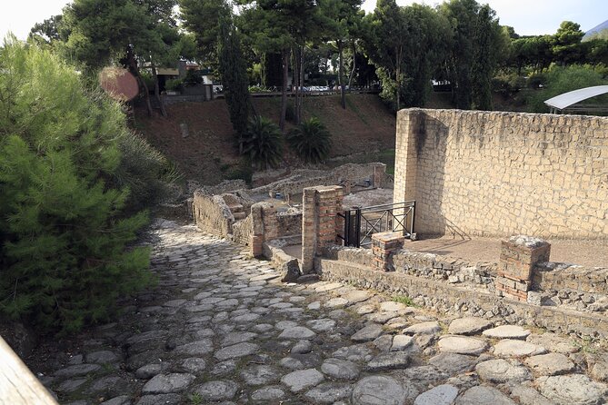 Pompeii Day Tour - The Forum and public life: seeing the city’s daily rhythm