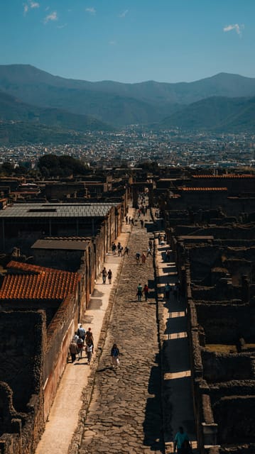 Pompeii: Entrance Ticket - Skip the Line - Wheelchair accessible, with a logistics reality check