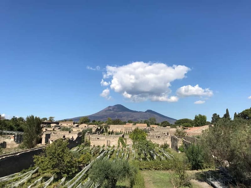 Pompeii: Exclusive Tour with Archaeologist and Entry Tickets - Key things I’d clock before you go