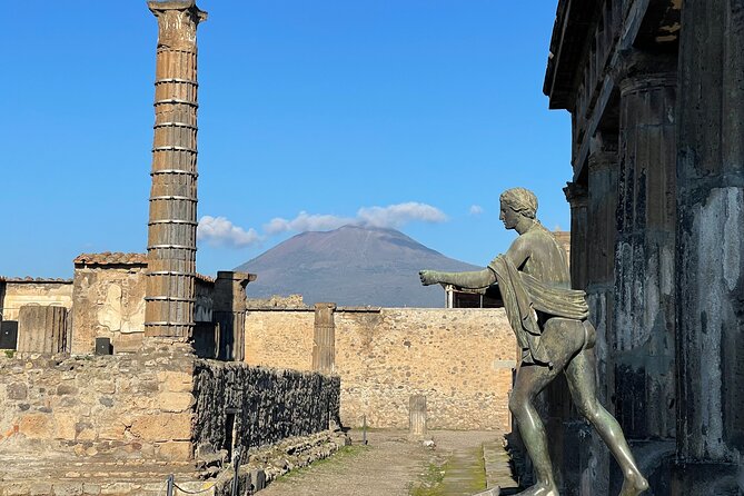 Pompeii Guided Tour and Wine Tasting from Positano - Price and logistics: what $287.78 really buys you