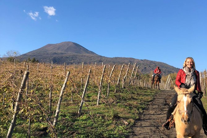 Pompeii Guided Tour & Horse Riding on Vesuvius with Lunch - Small details that can make or break your day
