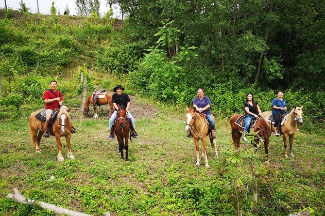 Pompeii Guided Tour & Horse Riding on Vesuvius with Lunch - Should you book this Pompeii and Vesuvius horseback tour?
