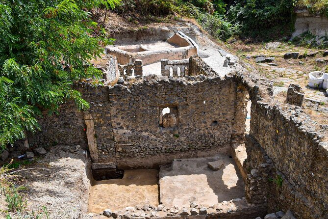 Pompeii Guided Tour & Lunch with Superior Wine Tasting - A Two-Part Day That Makes Pompeii Easy to Enjoy