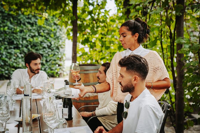 Pompeii Guided Tour & Lunch with Superior Wine Tasting - Where You Meet, How You Get There, and Why It Matters