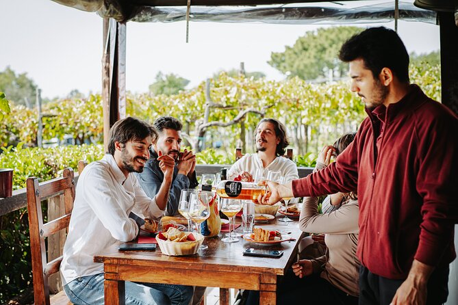 Pompeii Guided Tour & Lunch with Superior Wine Tasting - The Vesuvius Wine Stop at Trecase: Views Plus a Real Break