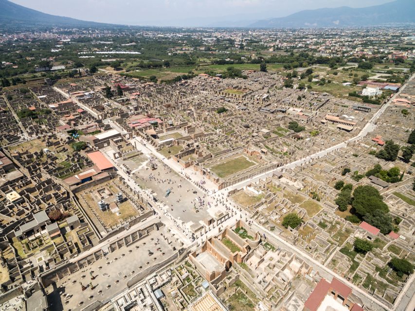 Pompeii, Herculaneum, and Vesuvius: Full-Day Tour - Who Should Book This Tour