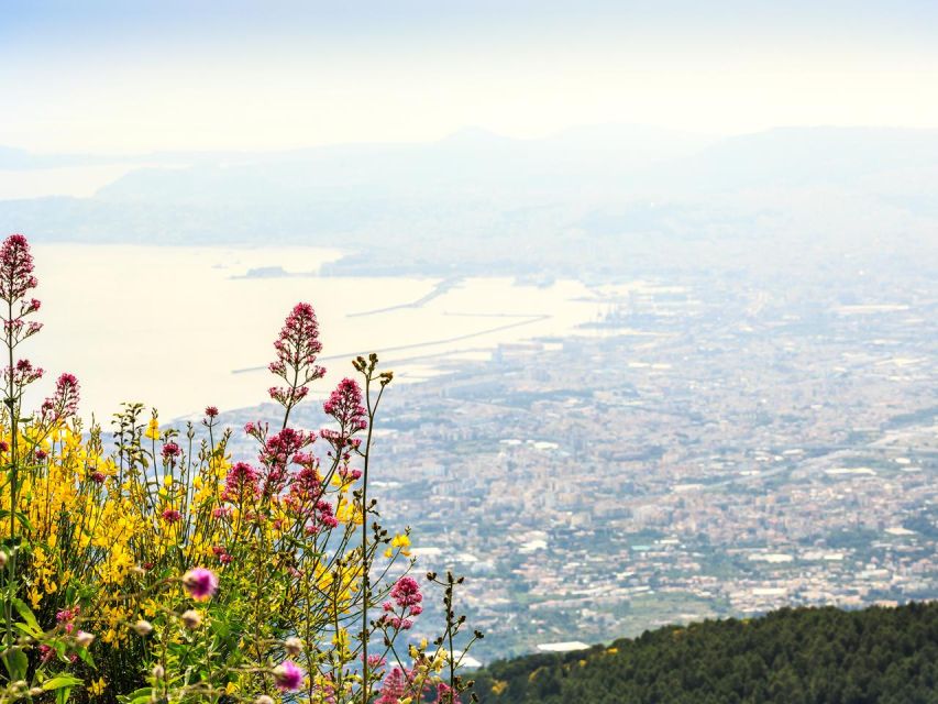 Pompeii, Herculaneum and Vesuvius Tour - Meeting at Via Roma 32, and how the transfers work