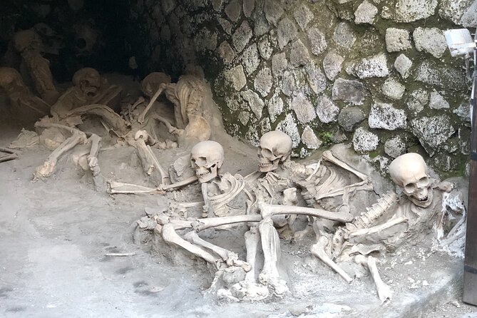 Pompeii & Herculaneum Family Adventure | Guide+Transport+Tickets - Should you book this Pompeii and Herculaneum family adventure?