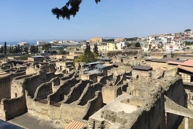 Pompeii, Herculaneum & Mt. Vesuvius Guided Tour from Sorrento - Price and logistics: what you are actually paying for