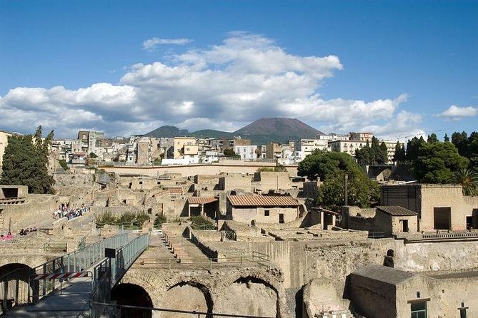 Pompeii, Herculaneum & Mt. Vesuvius Guided Tour from Sorrento - Driver and guide quality: what the best days get right