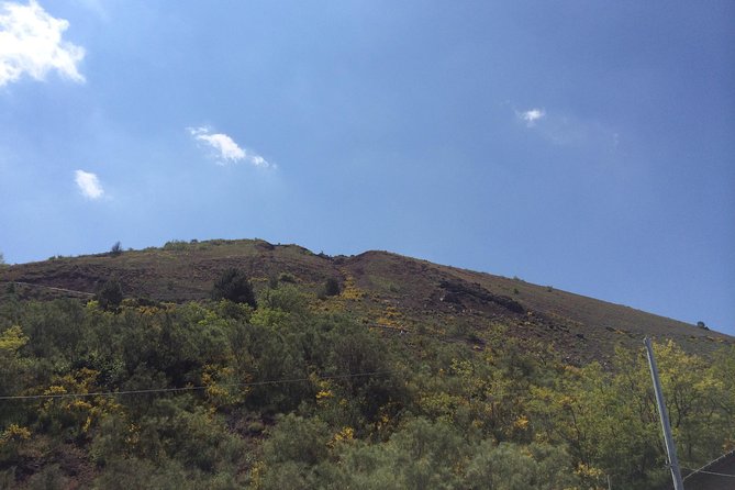 Pompeii, Herculaneum & Mt. Vesuvius Guided Tour from Sorrento - Entering Pompeii with a licensed English guide and TicketOne timing
