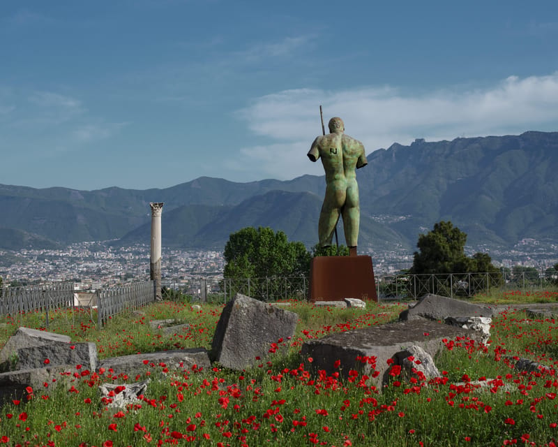 Pompeii & Herculaneum: Skip-the-line & Digital Guide App - Pompeii Ruins: Walking the Streets, Temples, and Houses