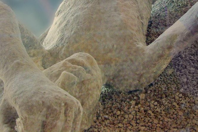 Pompeii & Herculaneum - Skip the line from Sorrento - Pompeii in Two Hours: Forum, Public Monuments, and Big-Picture Life