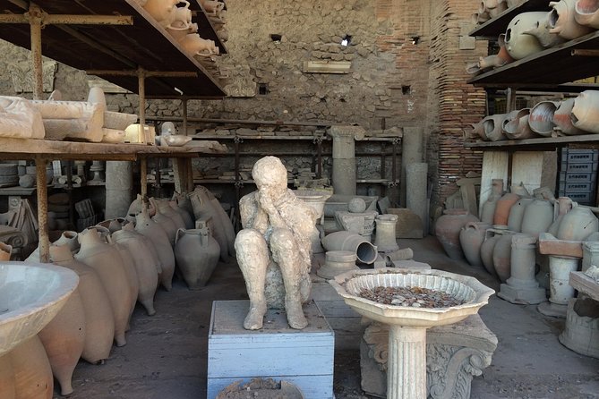 Pompeii-Herculaneum-Wine tour from Sorrento, with licensed guide included - Pompeii and Herculaneum in one day, with a driver who handles the routes