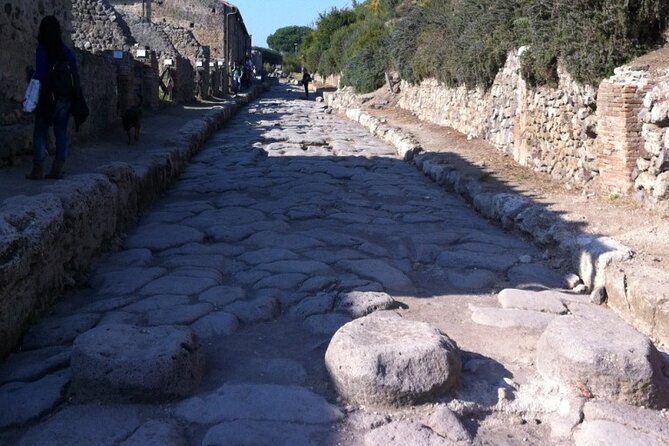 Pompeii, Herculaneum & Wine Tour, with Licensed Guide included - Who this tour suits best, and who should adjust expectations