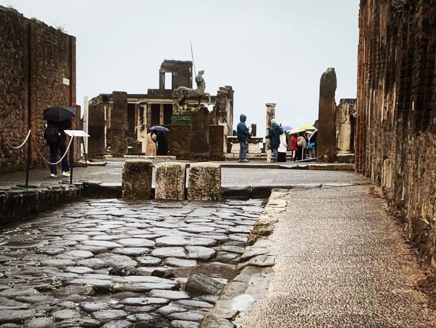 Pompeii in 2h and 30mnt: walk with local guide - 2.5 hours with an official guide in Pompeii’s real streets