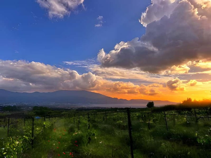 Pompeii: Mount Vesuvius Night Horseback Ride and Italian BBQ - Key things to know before you go