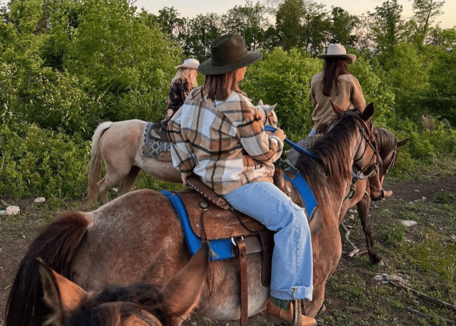 Pompeii: Mount Vesuvius Night Horseback Ride and Italian BBQ - Price and value: what you actually get for $101.96