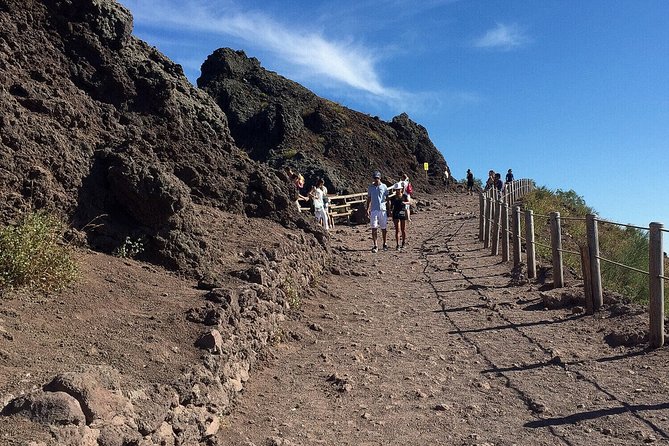 Pompeii & Mount Vesuvius Private Tour with Guide - Your private driver and van: the stress remover for Naples area travel