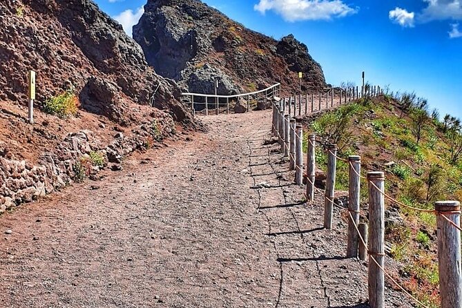 Pompeii & Mount Vesuvius Tour with Guided Visit, Tickets & Lunch - Timing, group size, and the pace you should expect