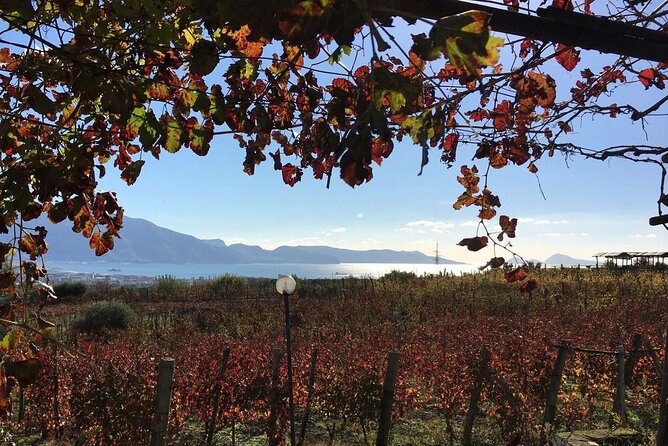 Pompeii, Mt Vesuvius and Wine Tour - Transportation Comfort and Real Day Logistics