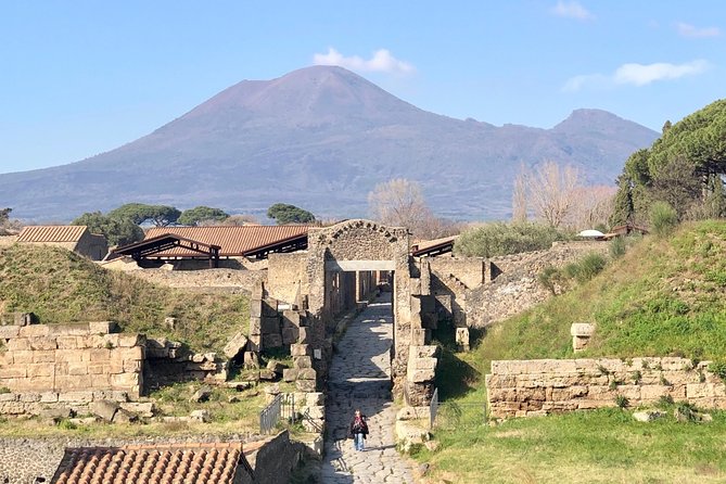 Pompeii New Discoveries Private Guided Tour - Pompeii in 2 hours: why this “highlights” format helps
