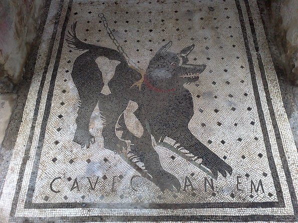 Pompeii Positano and Sorrento shared excursion with Pompeii skip the line entry - Pompeii Skip-the-Line: Your Entry Advantage