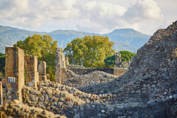 Pompeii Private & Personalized Tour with archeology expert guide - The best fit: who should book this Pompeii private tour