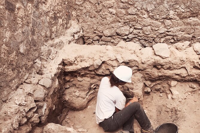 Pompeii Private Tour with an Archaeologist and Skip The Line - Granaries of the Forum: amphora storage and the casts’ second perspective