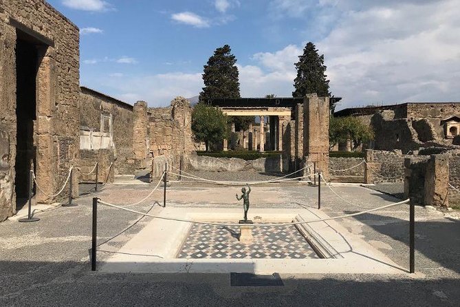 Pompeii Private Tour with Expert Guide - Price and logistics: what $98.51 per person is really buying