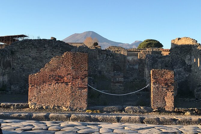 Pompeii Private Tour with expert local guide - Price and value: what $228.78 buys you for a group of up to 10