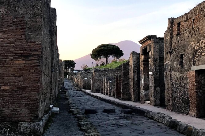 Pompeii Private Tour with expert local guide - Meeting at Porta Marina inferiore: smooth start with ticket help