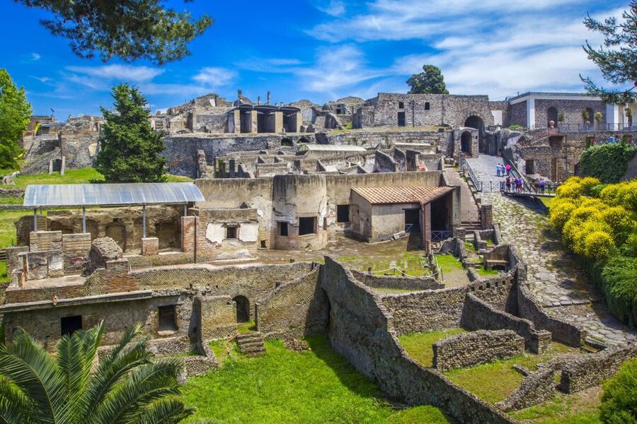 Pompeii: Private Tour with Hotel Pickup and Entry Ticket - Van Transfer Time: Plan for the Long Day