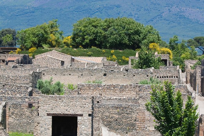 Pompeii Ruins Half-Day Tour from Sorrento with Guide - Guides and Headsets: How the Tour Stays Understandable