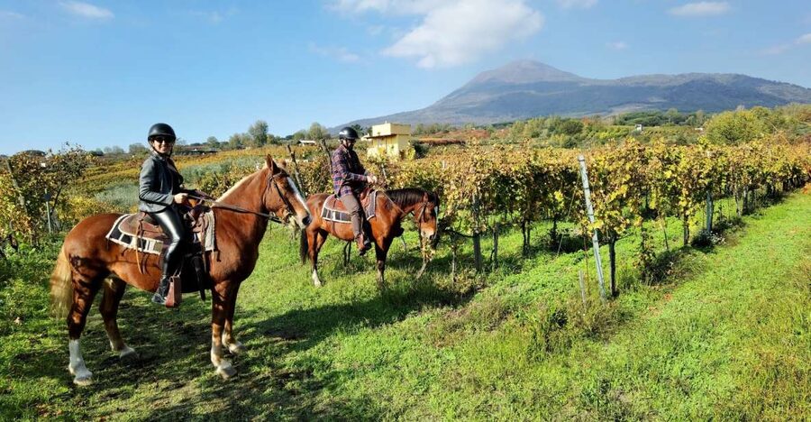 Pompeii: Ruins Tour and Mount Vesuvius Horseback Ride - A day that mixes Pompeii, wine, and horseback riding