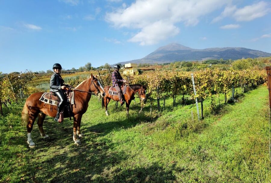 Pompeii: Ruins Tour and Mount Vesuvius Horseback Ride - Getting started at Hortus Pompei, and why the meeting point matters