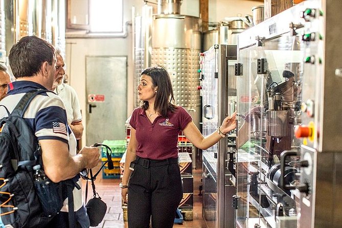 Pompeii Ruins & Wine Tasting with Lunch on Vesuvius with Private Transfer - Tickets, timing, and avoiding the most common disappointment