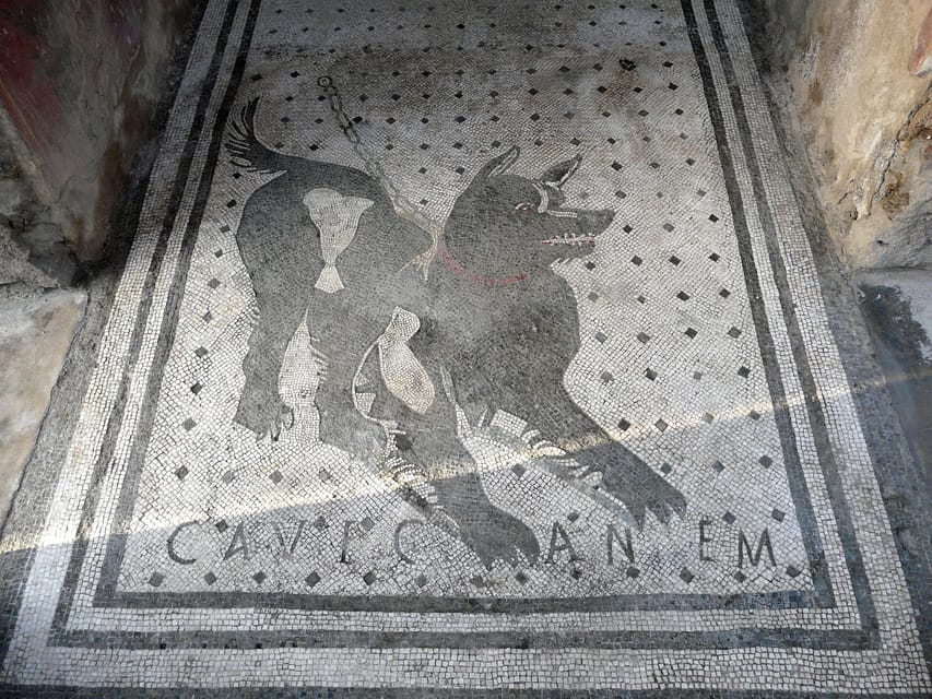 Pompeii: Skip-the-Line Entry & Audioguide - Getting Past the Lines at Pompeii Archaeological Park