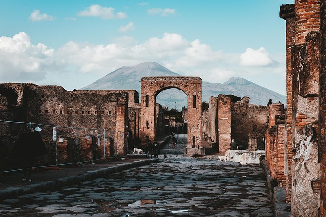 Pompeii Skip-the-Line Entry & Guided Tour with a certified guide - Stop 4: Casa del Fauno and the Mosaics of Status